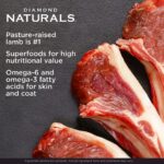 Diamond Naturals Large Breed Puppy Formula Lamb And Rice Dog Dry Food - Image 4