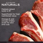 Diamond Naturals Large Breed Puppy Formula Lamb And Rice Dog Dry Food - Image 4
