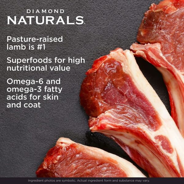 Diamond Naturals Large Breed Puppy Formula Lamb And Rice Dog Dry Food - Image 4