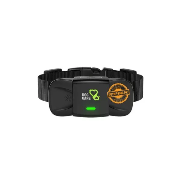 Dog Care Dog Training Collar (TC01) - Image 5