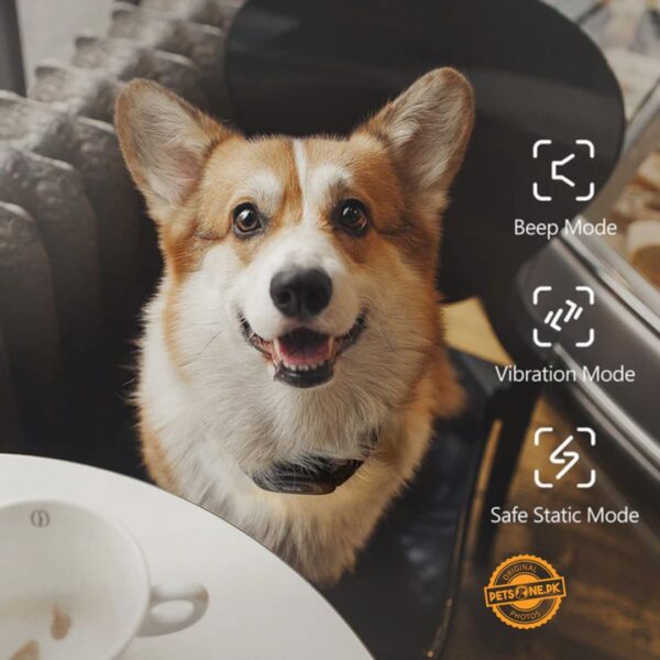 Dog Care Well-D LE Dog Training System (TC08) - Image 2