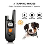 Dog Care Well-D SD Dog Training System (TC05) - Image 2
