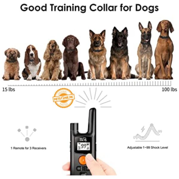 Dog Care Well-D SD Dog Training System (TC05) - Image 4