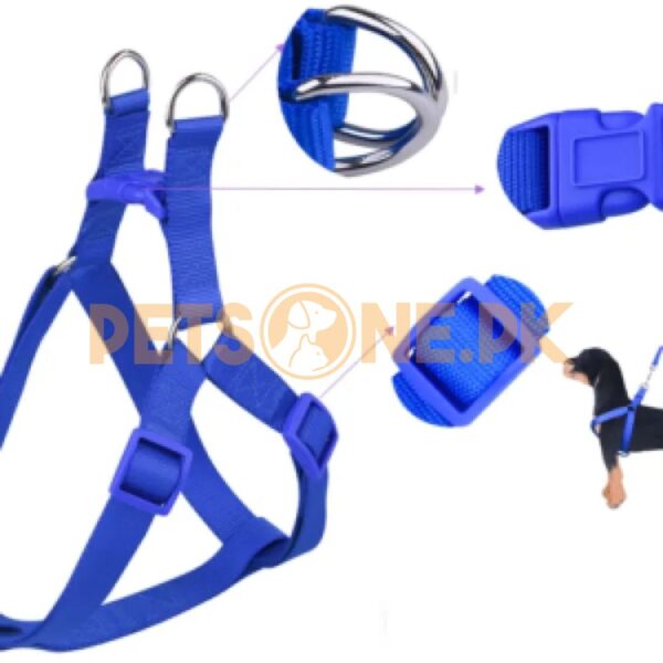 Dog Harness Leash n Collar / Dog Chester (3 in 1) - Image 2