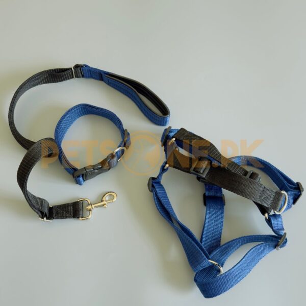 Dog Harness Leash n Collar / Dog Chester (3 in 1) - Image 5