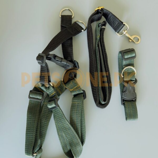 Dog Harness Leash n Collar / Dog Chester (3 in 1) - Image 6