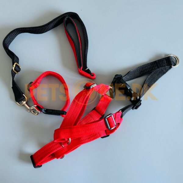Dog Harness Leash n Collar / Dog Chester (3 in 1) - Image 10