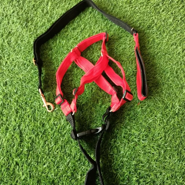 Dog X-Harness n Leash for Medium n Large Dogs– Adjustable - Image 2