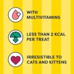 Dreamies Shakeups Multivitamins Seafood Flavor Cat Treat – 55 Gram - Image 2