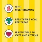 Dreamies Shakeups Multivitamins Seafood Flavor Cat Treat – 55 Gram - Image 2