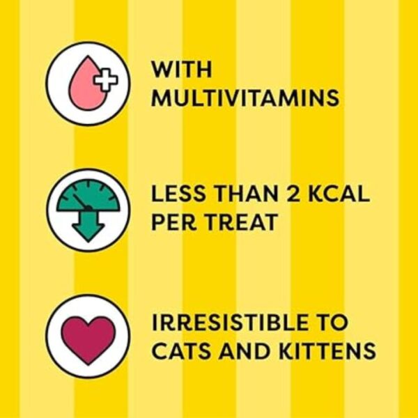 Dreamies Shakeups Multivitamins Seafood Flavor Cat Treat – 55 Gram - Image 2