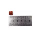 Endi Crunchy Bites for Cats - Image 3