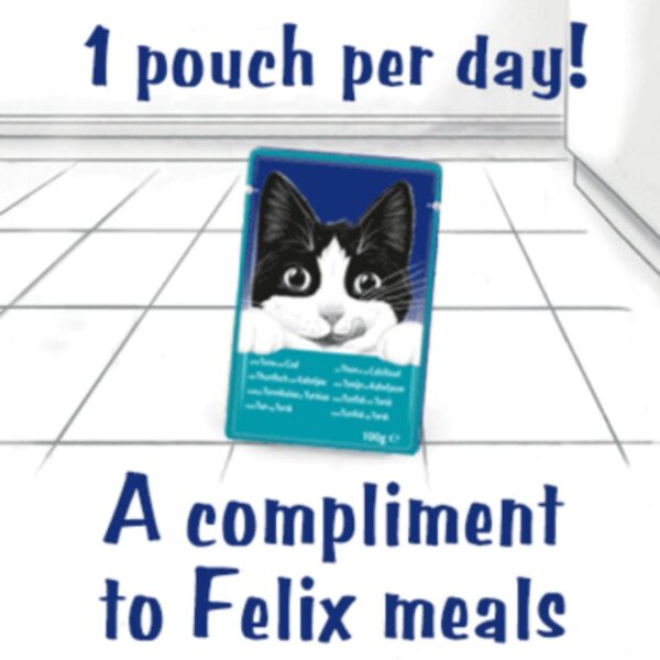 Felix Soup Farm Selection Wet Cat Food (6 x 48 Gram) - Image 3
