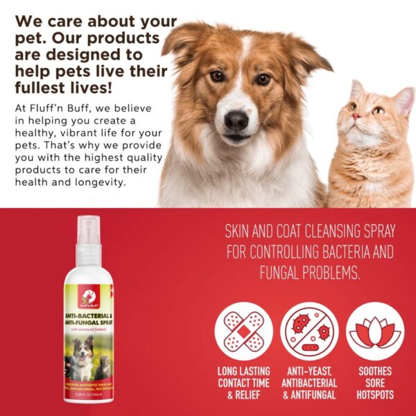Fluff n Buff Anti Bacterial And Anti Fungal Spray – 100 ML - Image 3