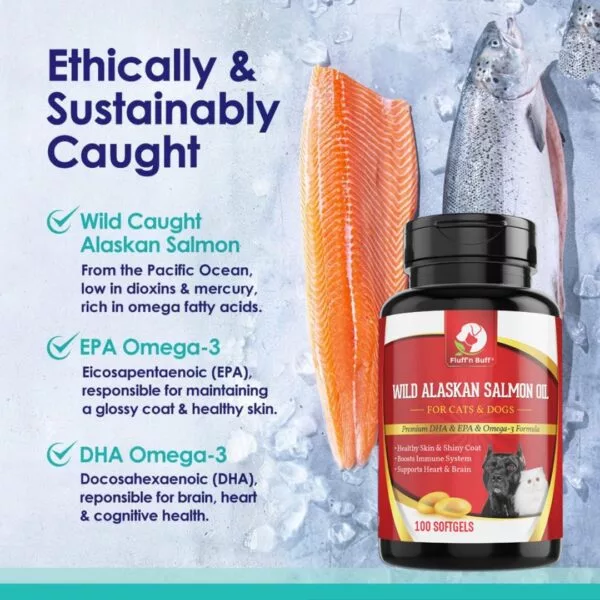 Fluff n Buff Wild Alaskan Salmon Oil Soft gels Supplement – 100 Gram - Image 2