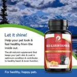 Fluff n Buff Wild Alaskan Salmon Oil Soft gels Supplement – 100 Gram - Image 3
