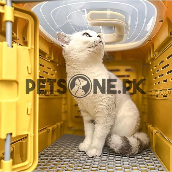 Foldable Pet Transport Box / Jet Box / Pet Carrier - Image 8