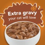Friskies Extra Gravy Chunky in Savory Gravy / Wet Cat Food – 156 Gram - Image 2