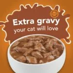 Friskies Extra Gravy Chunky in Savory Gravy / Wet Cat Food – 156 Gram - Image 2