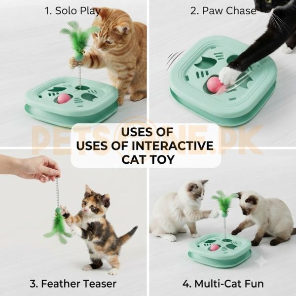 Funny Cat Pet Toy Cat Toys Intelligence Play Disc Cat - Image 3
