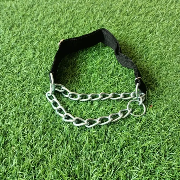 Half Choke Collar / Martingale Collar - Image 4