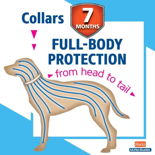 Hartz UltraGuard Flea n Tick Collar for Puppies - Image 3