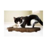 Heart Shape Cat Scratching Toy - Image 7