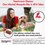 Heartgard Plus Deworming Tablet For Dogs (1 Tablet) - Image 3