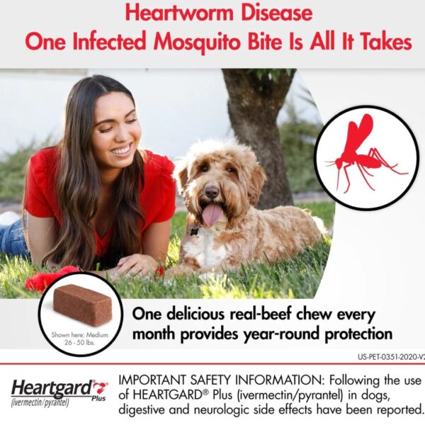 Heartgard Plus Deworming Tablet For Dogs (1 Tablet) - Image 3