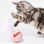 Cat Toy / Rolling / Cat Tumbler With Bell - Image 2