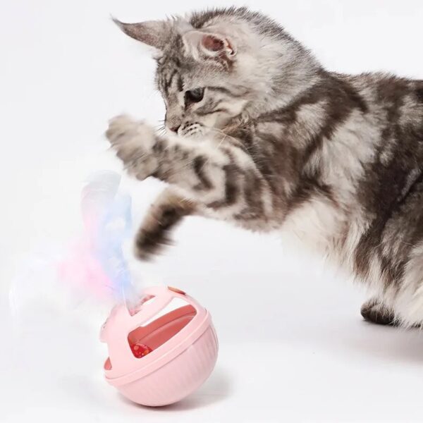 Cat Toy / Rolling / Cat Tumbler With Bell - Image 2
