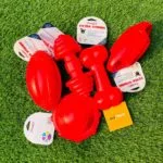 GOODIE BONE DOG TOY - Image 13