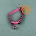 Multi Designs Bell Collar for Cats - Image 2