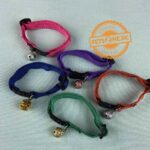 Nylon Cat Bell Collar - Image 3