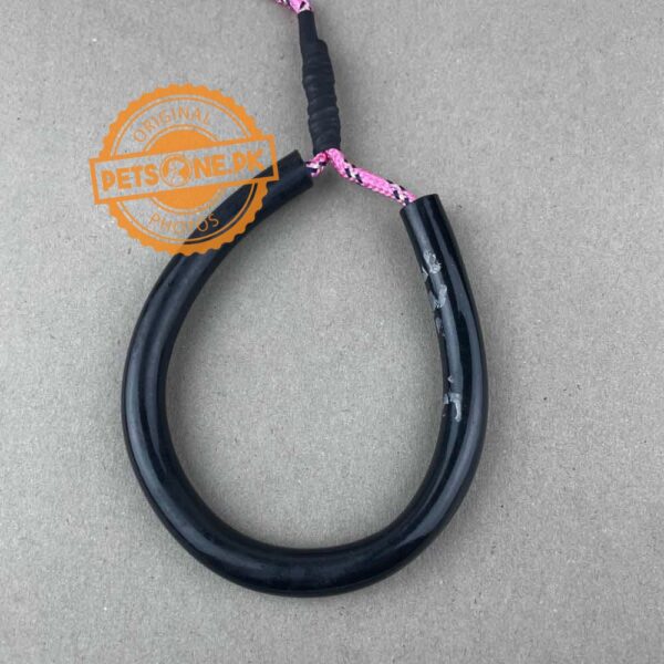 Adjustable Nylon Dog/Cat Training Leash / PUG Training Leash - Image 4