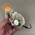 Mechanical Wind Up MOUSE Toy for Cats - Image 3