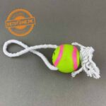 Squeky Soft Toys for Dogs - Image 2