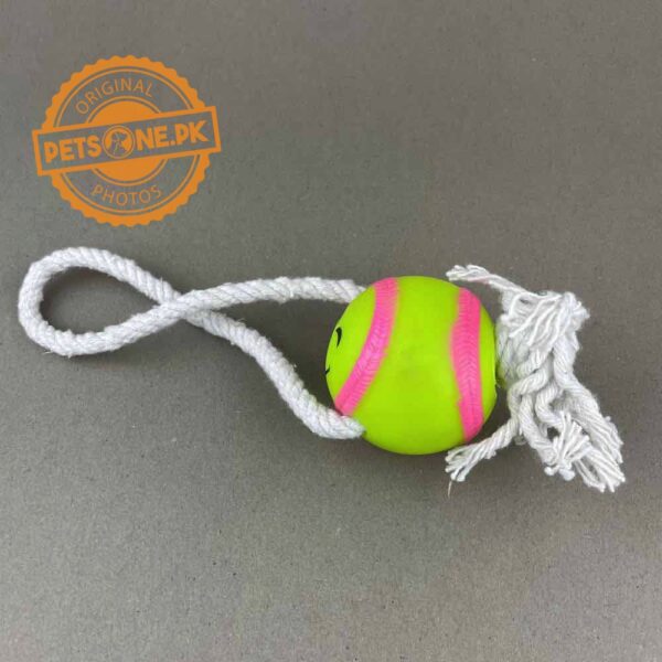 Squeky Soft Toys for Dogs - Image 2