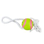 Squeky Soft Toys for Dogs