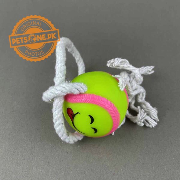 Squeky Soft Toys for Dogs - Image 3