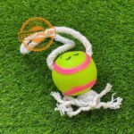Dog Chew Toy Ball And Rope / Dog Fetch Toy - Image 4