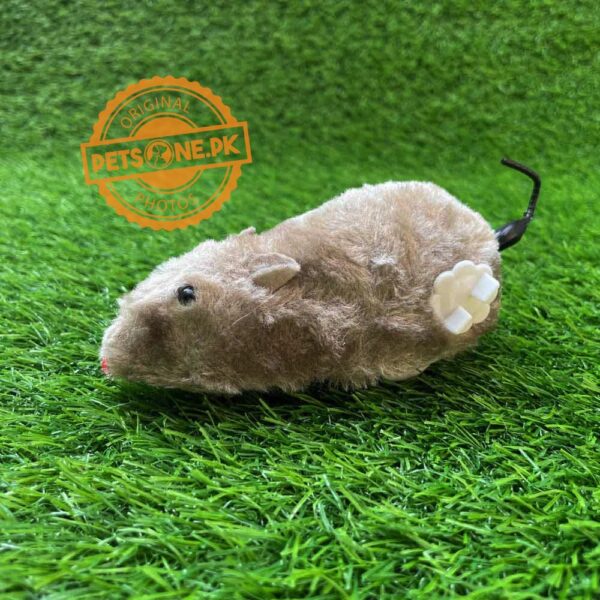 Mechanical Wind Up MOUSE Toy for Cats - Image 5