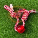 Cotton Rope Dog Training Toy - Image 3