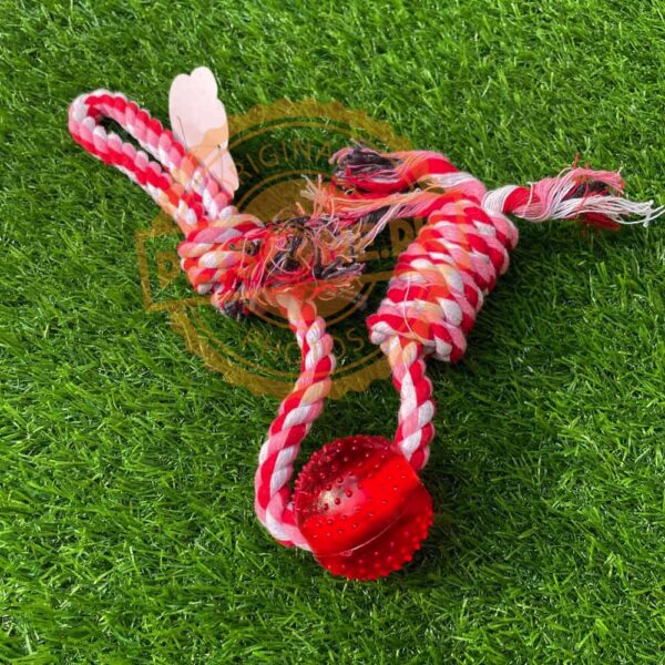 Cotton Rope Dog Training Toy - Image 3
