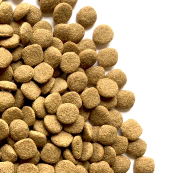 Inter Nutri Adult Dog Food – 4 KG - Image 2