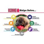KONG Classic Dog Toys - Image 4