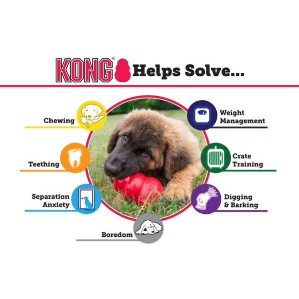 KONG Classic Dog Toys - Image 4