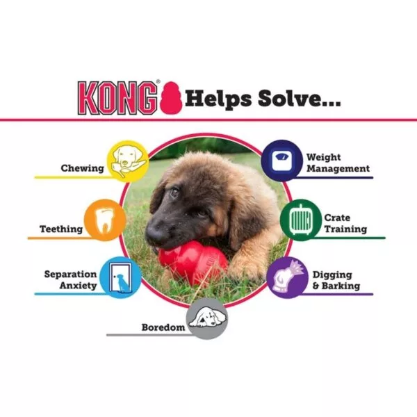 KONG Classic Dog Toys - Image 4