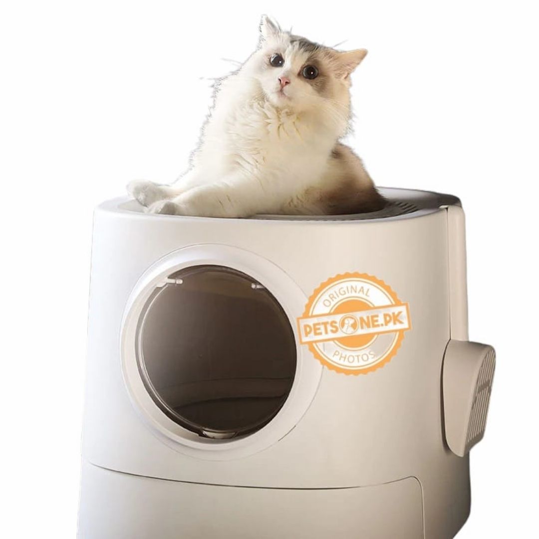 Large Capacity Top Entry Enclosed Litter Box (Design E)