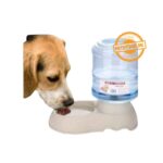 Large Pet Water Dispenser (Design F)